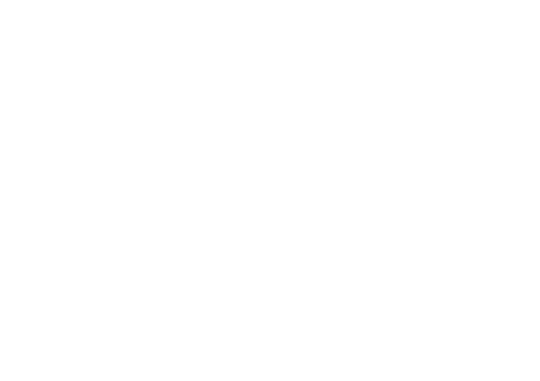 Ping Rechenzentrumsreinigung Logo